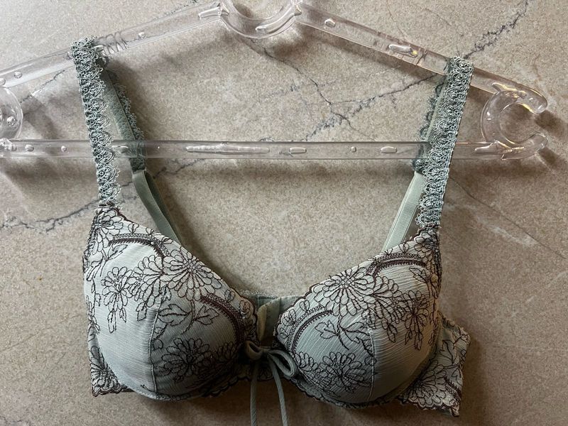 Floral Embroidered Underwire Padded Bra