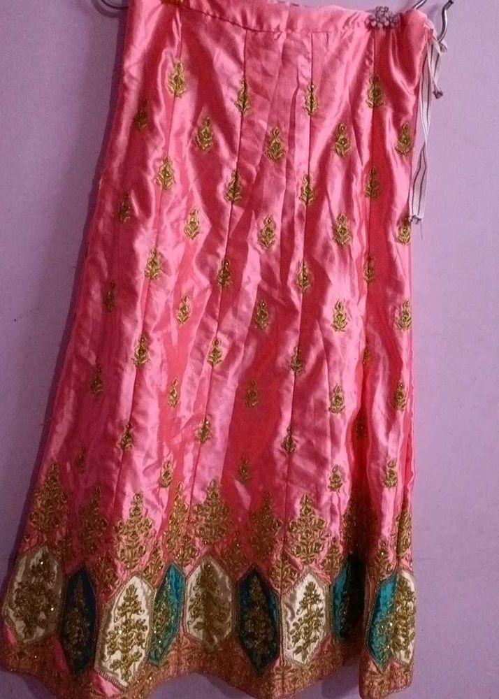 Embroidered Lehenga Skirt and blouse