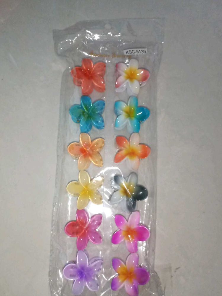 Cute Flower Hair Clips (Set of 12)