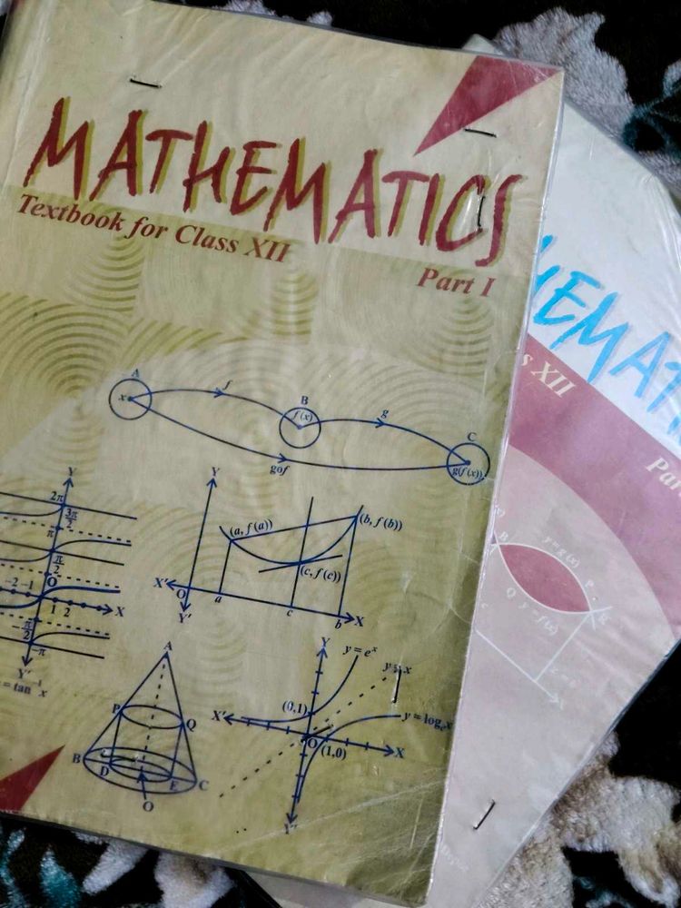Mathematics Textbook for Class XII Part 1 &amp; 2