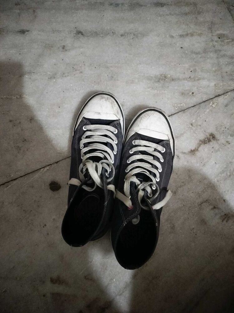 U.S Polo Style High Top Sneakers