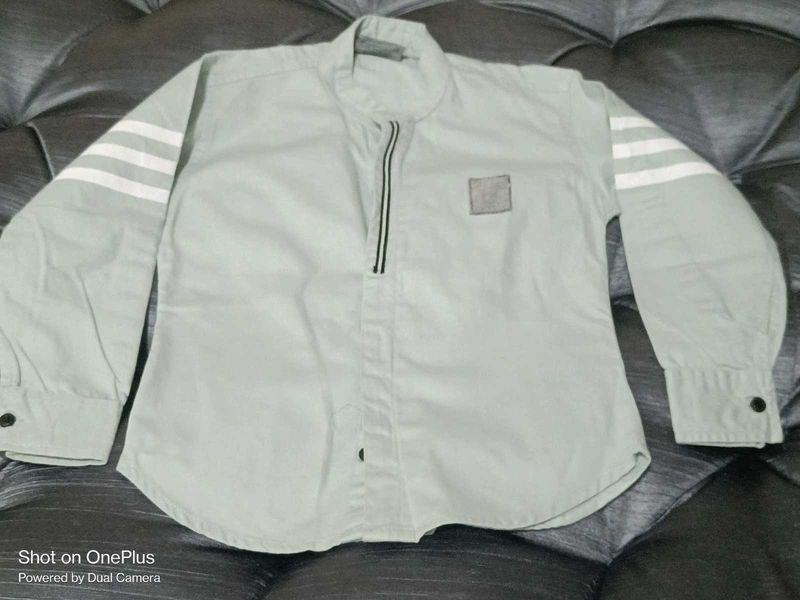 Striped Sleeve Light Green Shirt