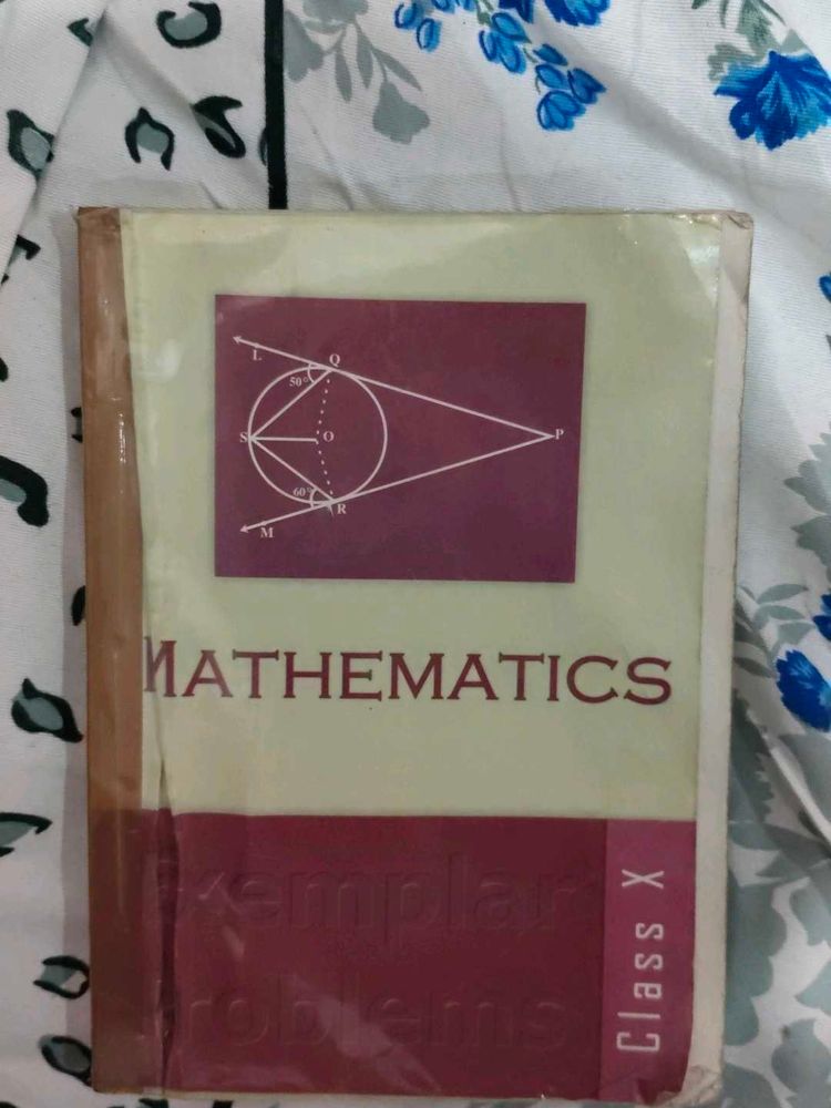 Class X Mathematics Examplar Problems