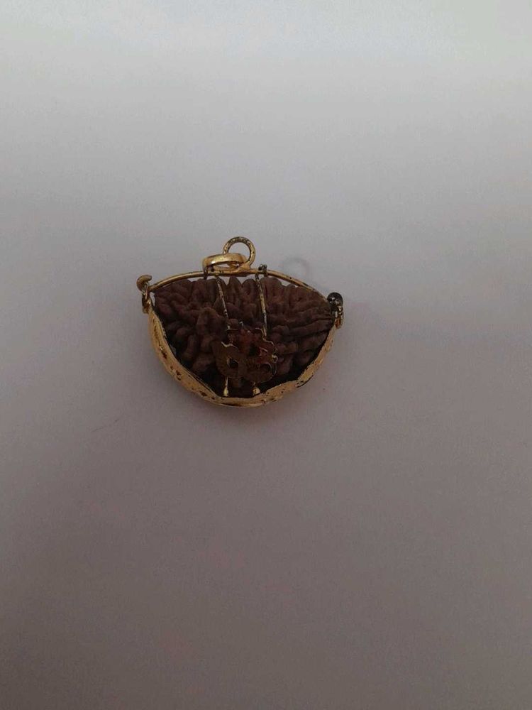 New Unused Ek Mukhi Rudraksha Pendant+free Chain