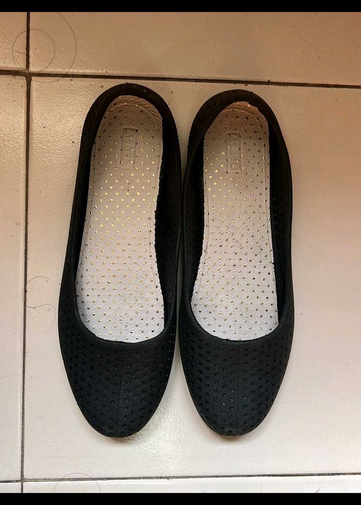 Black Bellies Unused