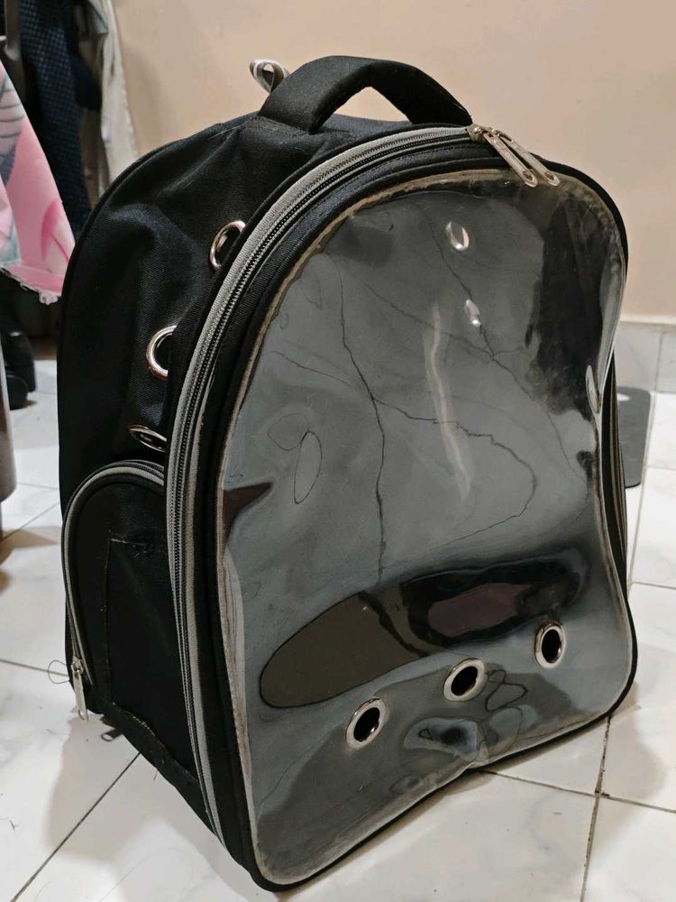 Transparent Cat Bubble Backpack