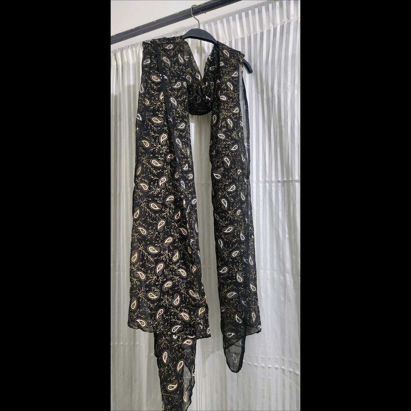 Elegant Paisley Print Black dupatta