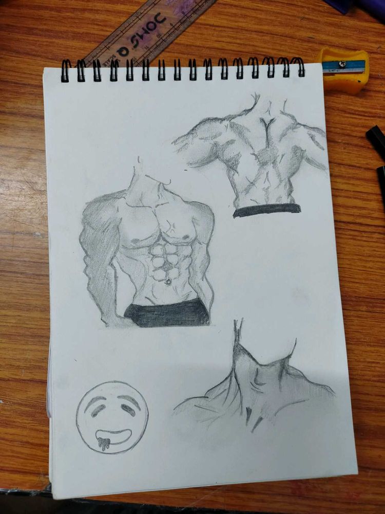 Anatomy Sketch of Muscular Torso
