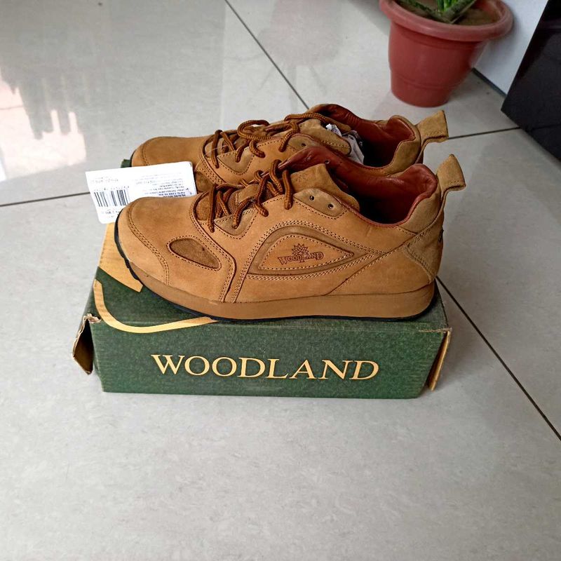 Woodland Brand Casual Boot Fixed Price