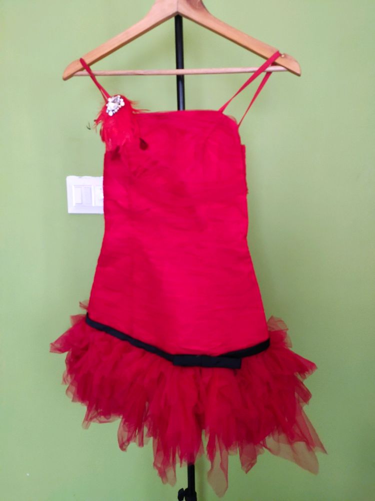Bodycon Party Dress/New With Tag