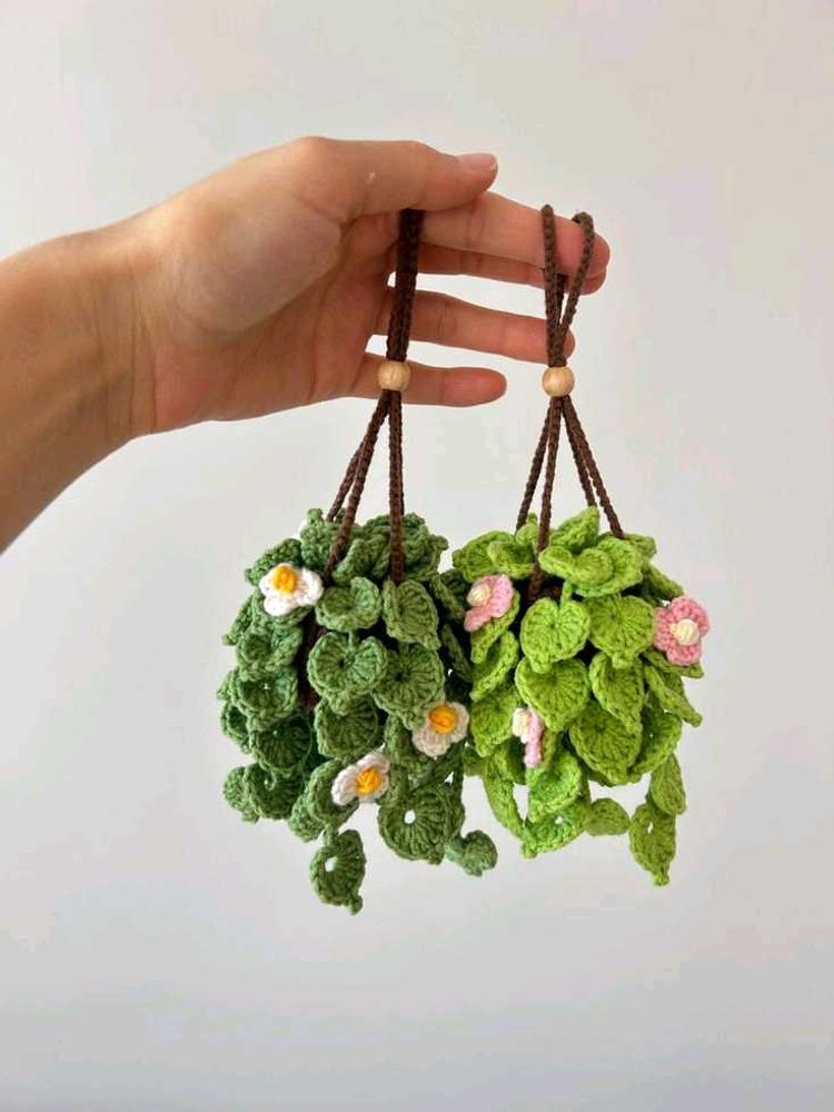 Crocheted Hanging Plants (Set of 2)