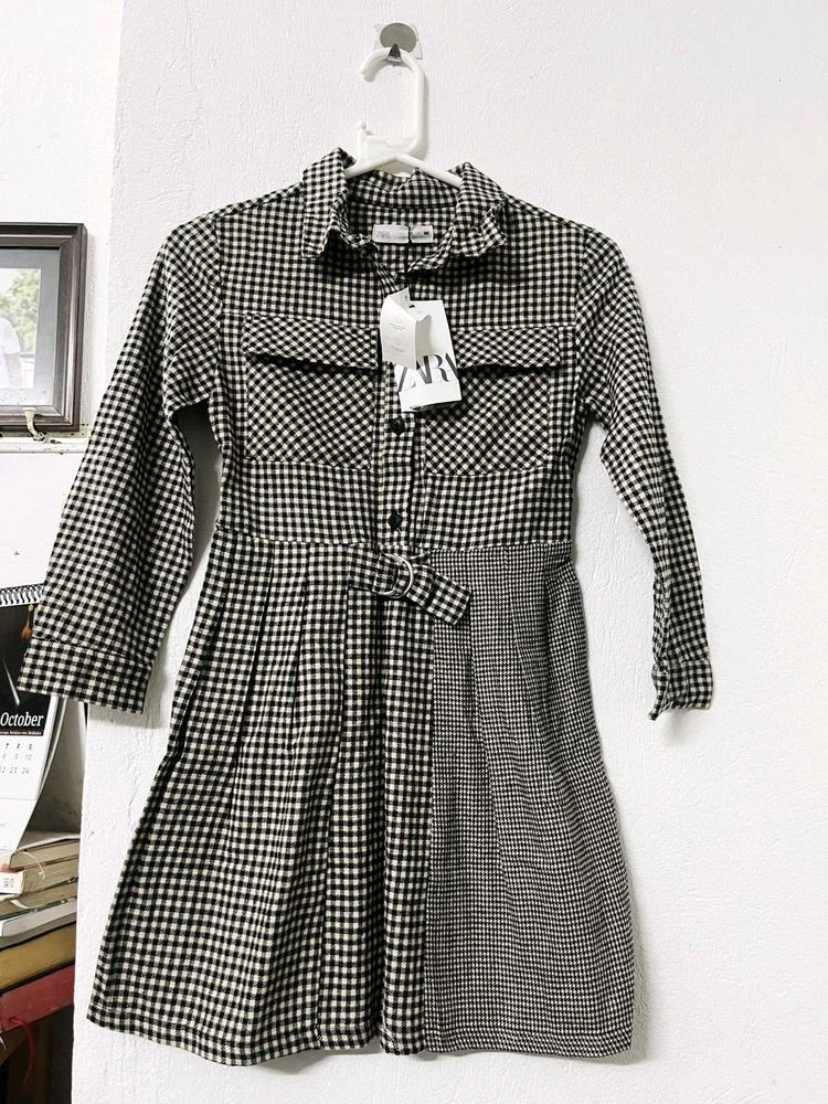 Zara Gingham Shirt Dress
