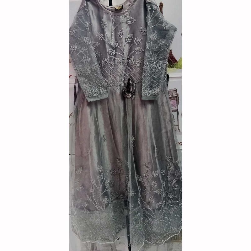 Elegant Smoky Grey Embroidered Party Wear Gown
