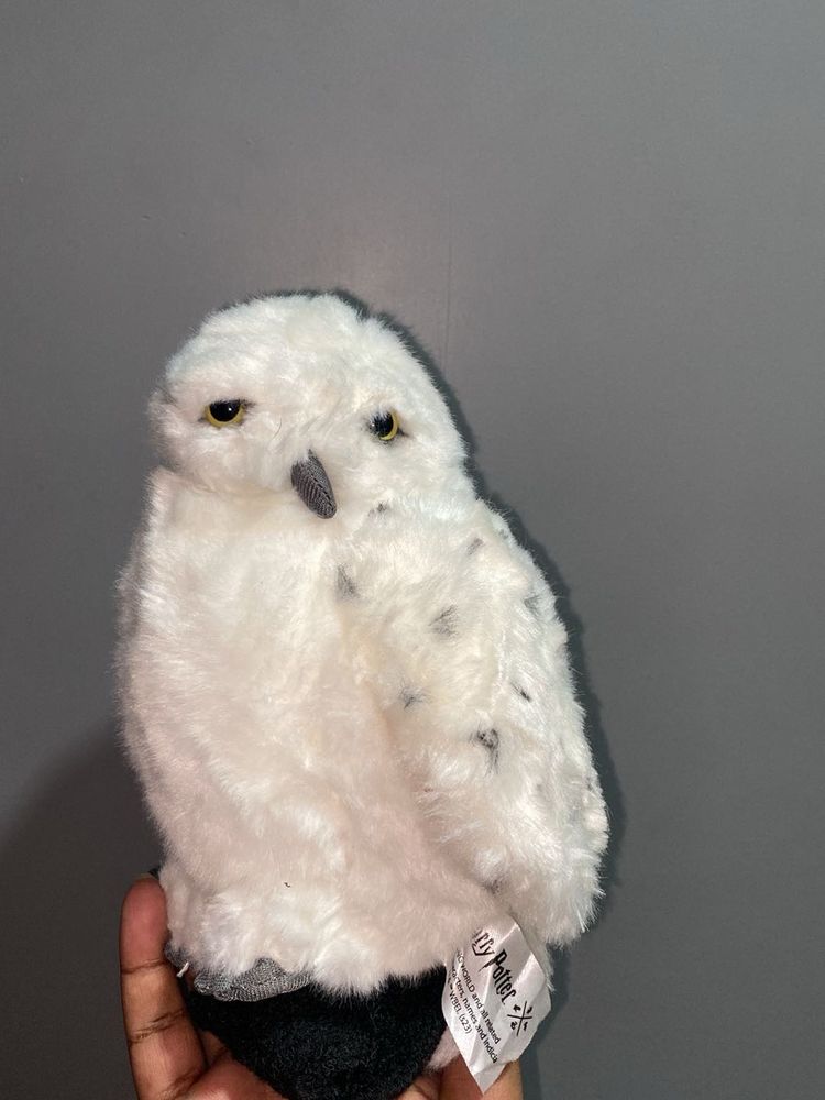 Hedwig Owl Harry Potter