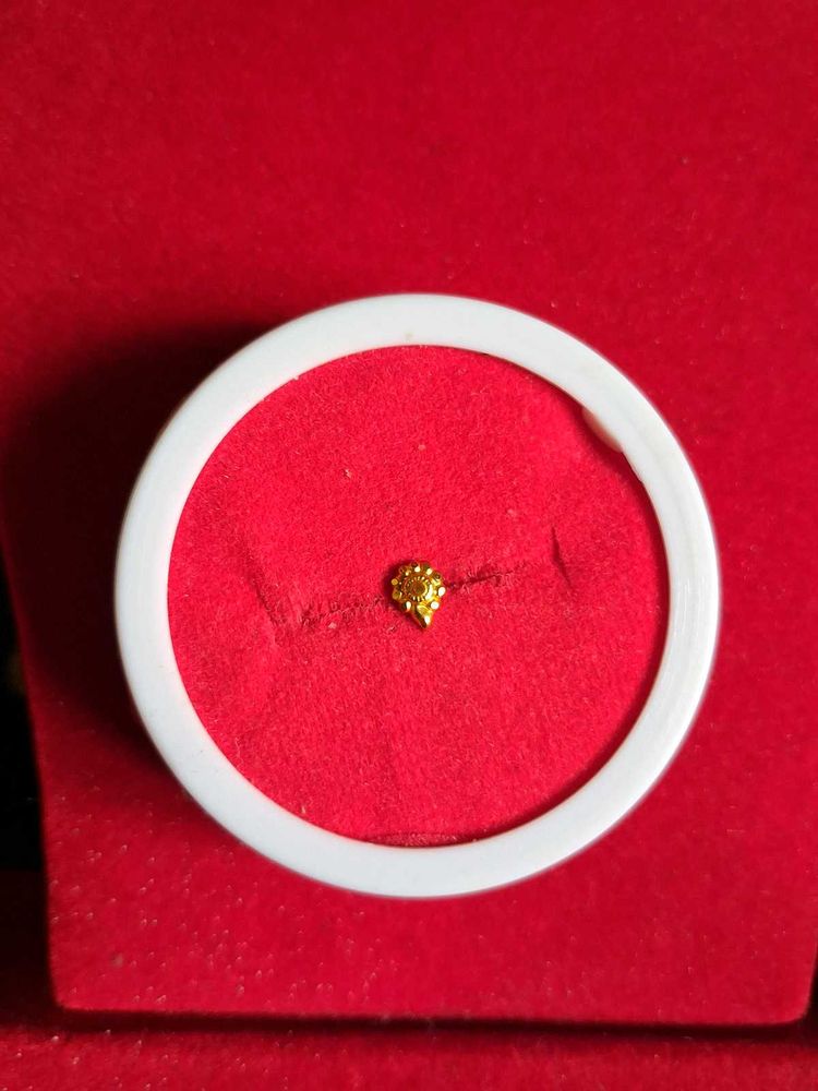 Exquisite Gold nosepin