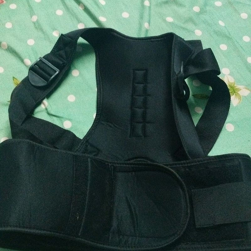 Back Support Belt