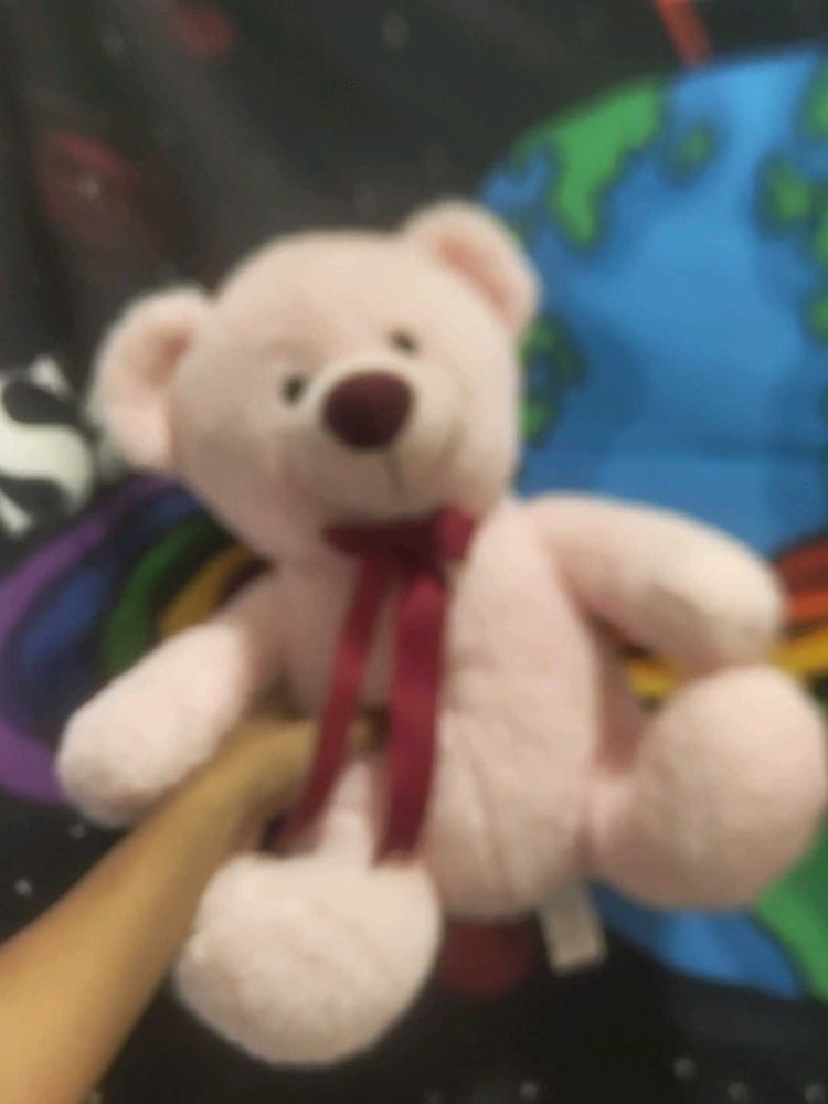 Cute Pink Teddy Bear Plush Toy