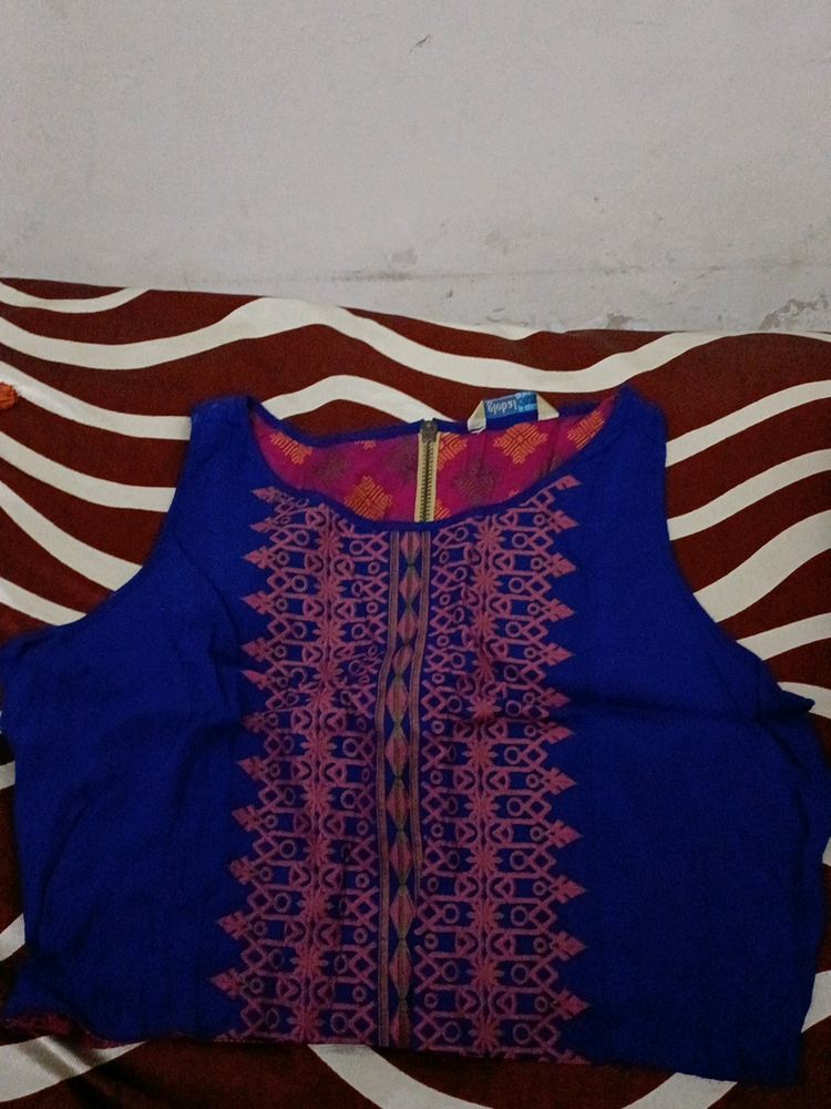 Global Desi Crop Top Or Blouse