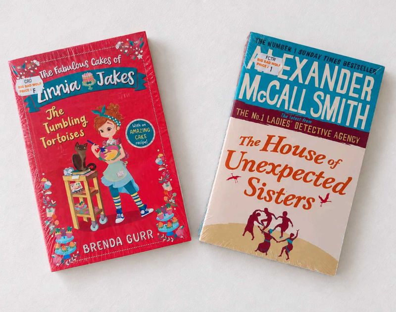 🔎👀 Whimsical Mystery Book Set