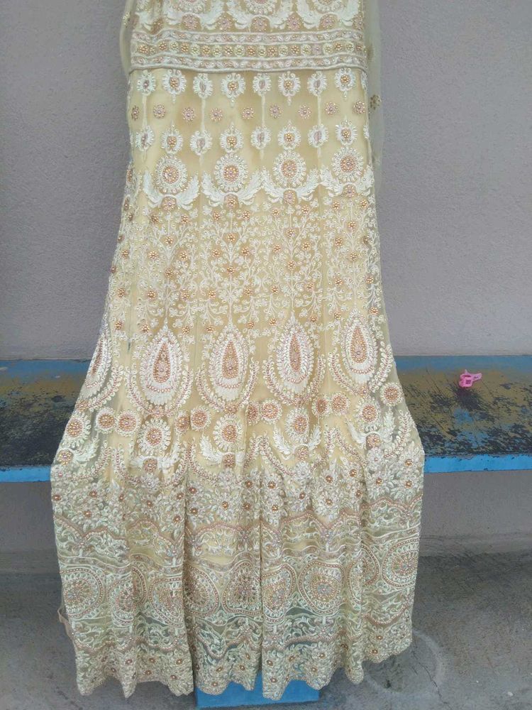 Exquisite Embroidered Lehenga Choli