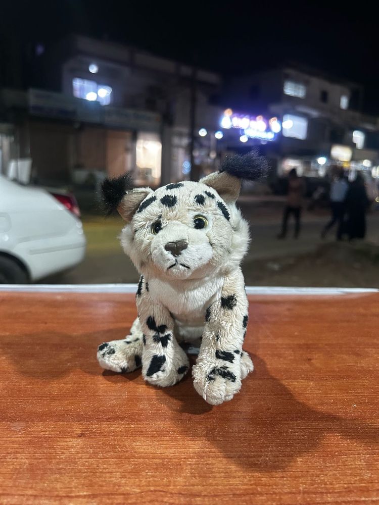 Leopard Big Cat Realistic