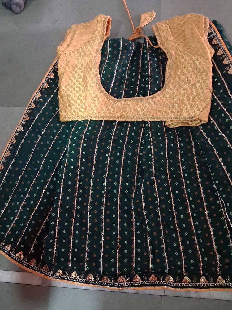 Green &amp; Gold Ethnic  saree with stitched blouse Se