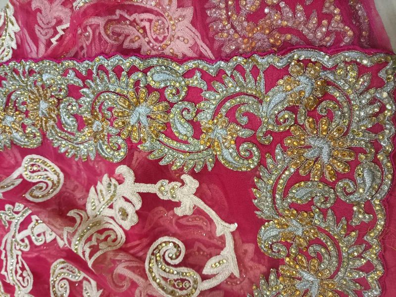 Diamond &amp; Embroidery Work Saree