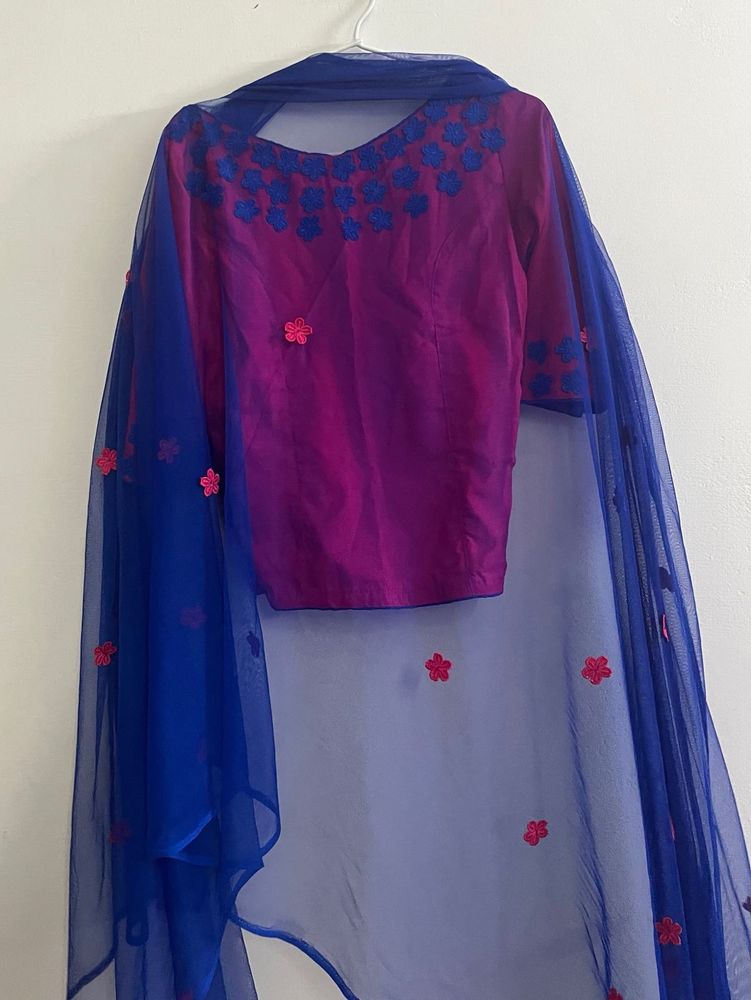 Pink Top and Blue Dupatta