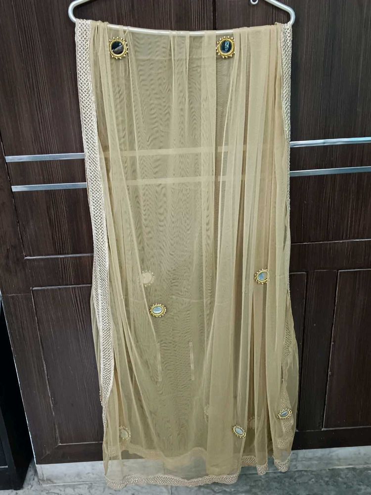 Women Beige Net Duppata