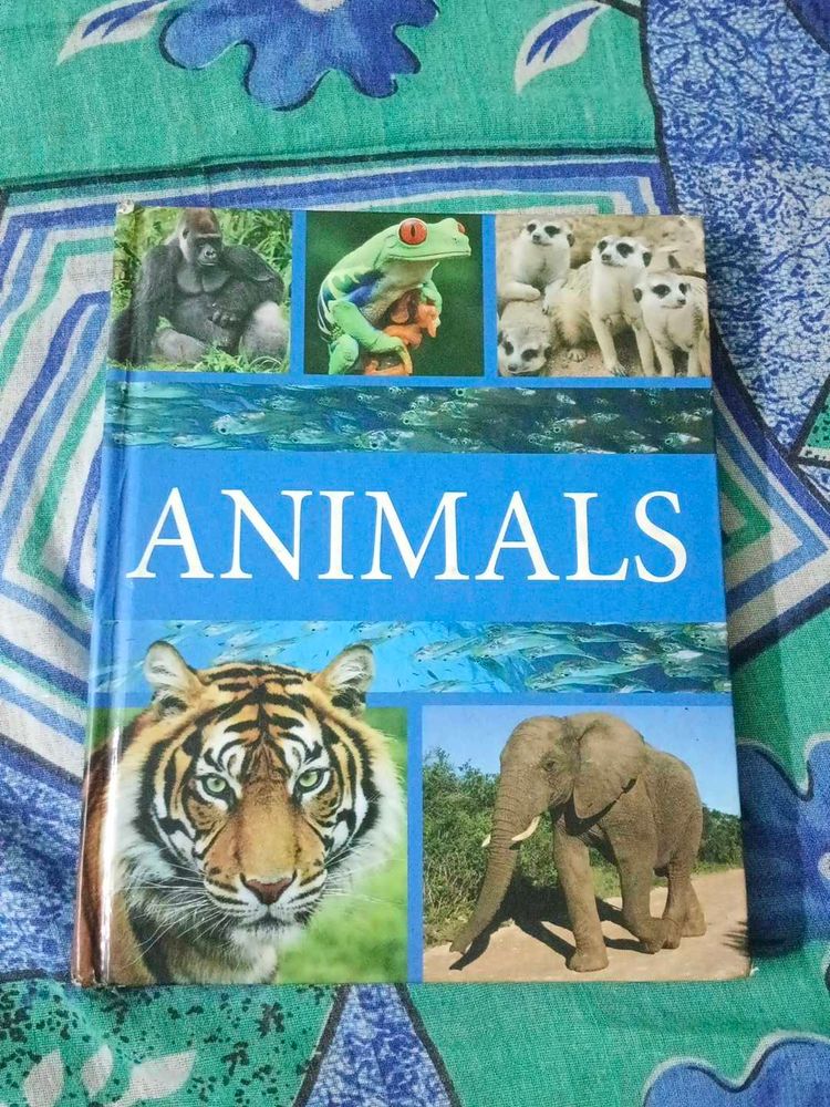 Animals Encyclopedia Book
