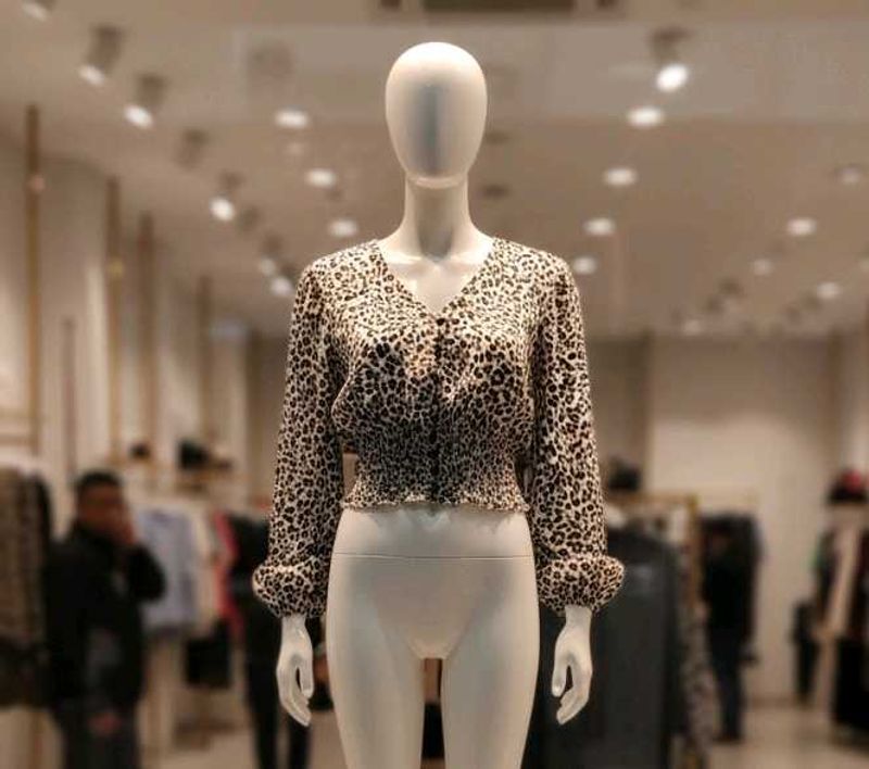 Leopard Print Long Sleeve Top(Get a freebie)