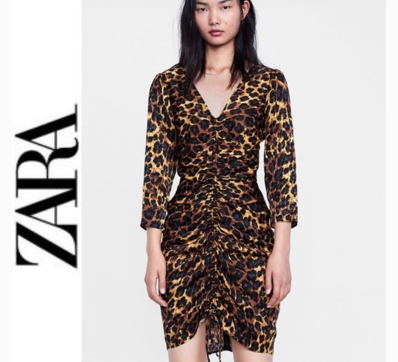 Zara Leopard Print Ruched Dress