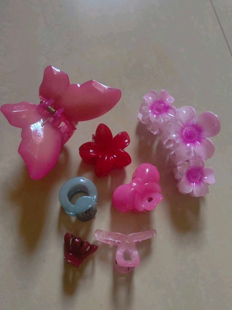 Assorted Hair Clips for Women