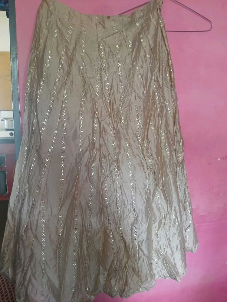 Embellished Ethnic Skirt