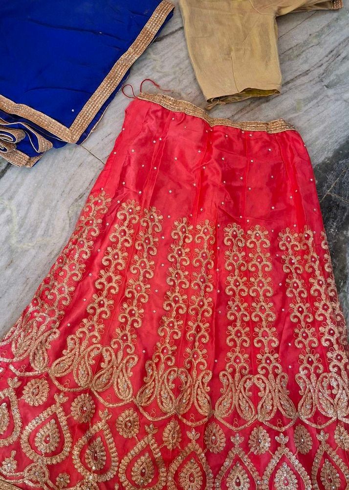 Embroidered Lehenga Choli Set