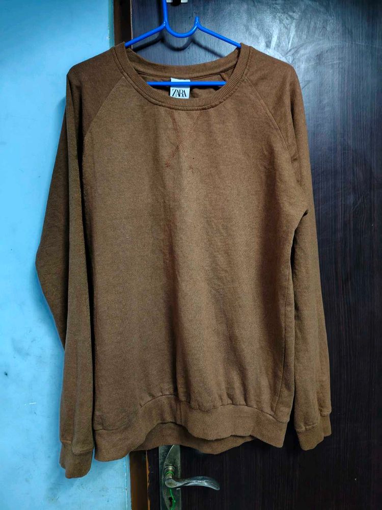 Brown ZARA Sweatshirt