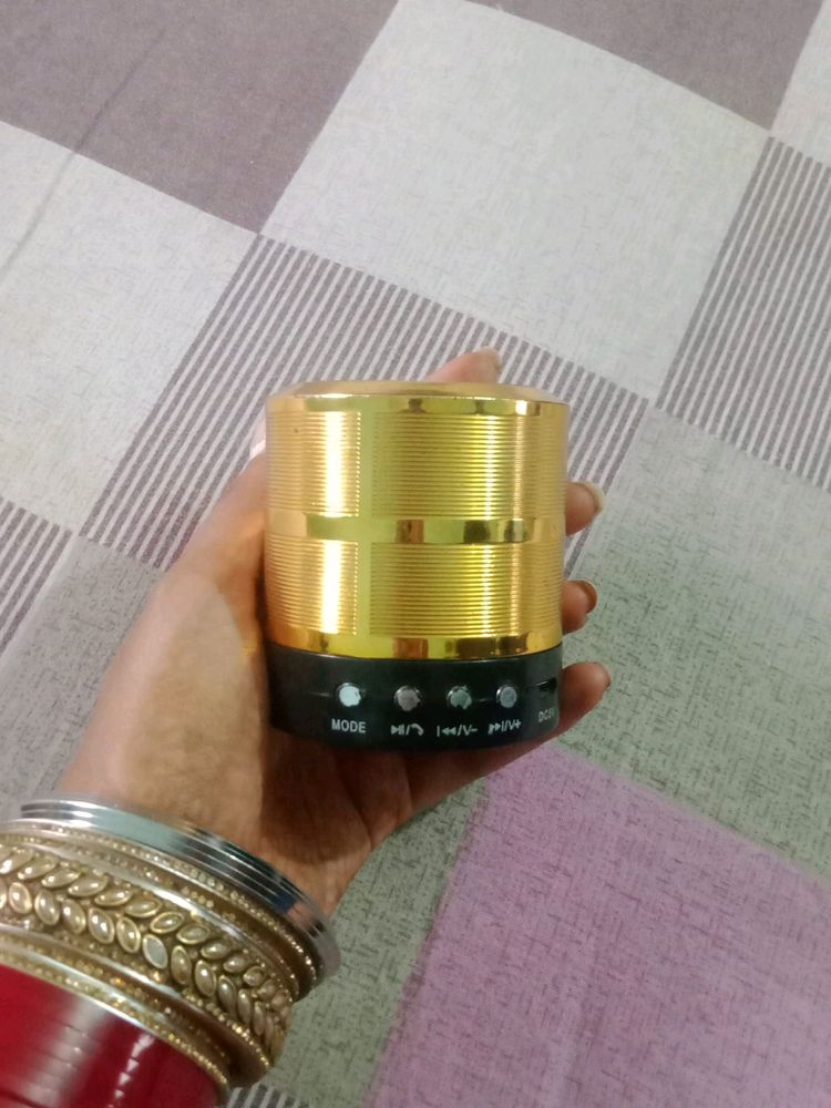 Speaker