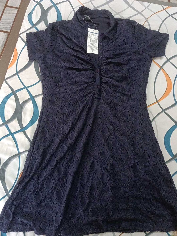 Navy Blue Lace Collared Dress