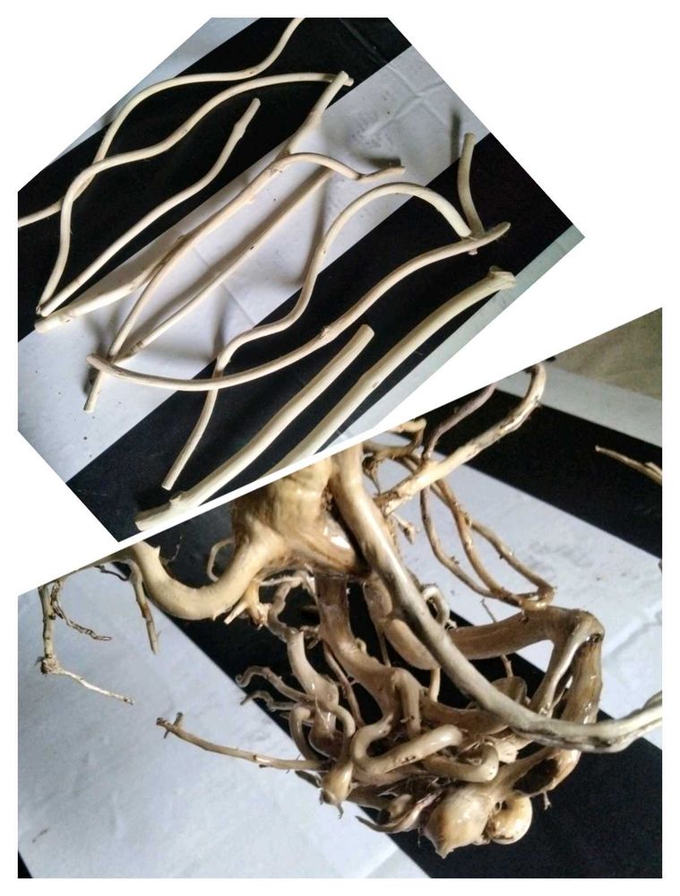 Natural Driftwood Branches and Roots