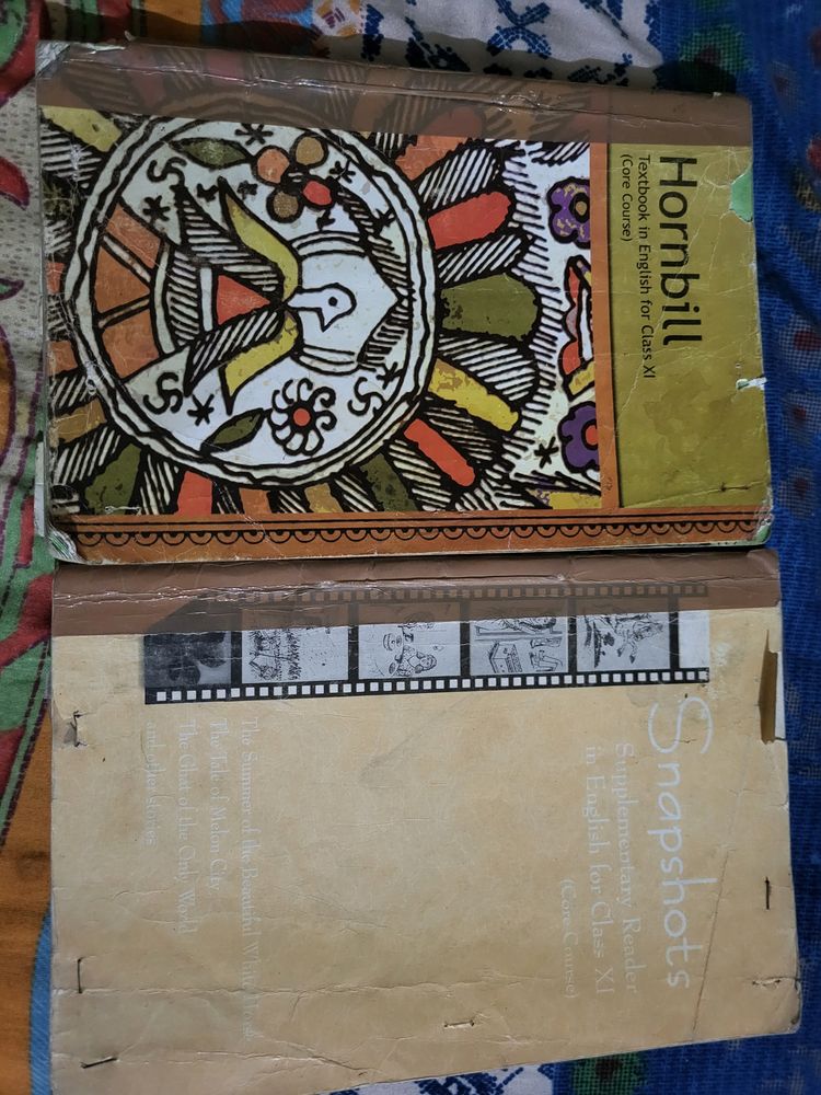 Hornbill And Snapshot For 11th English