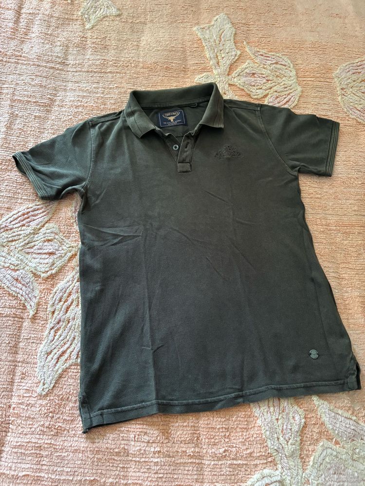 Casual Olive Green Polo Shirt