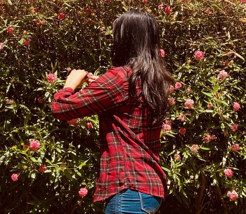 Red Plaid Sheer Top By Fig