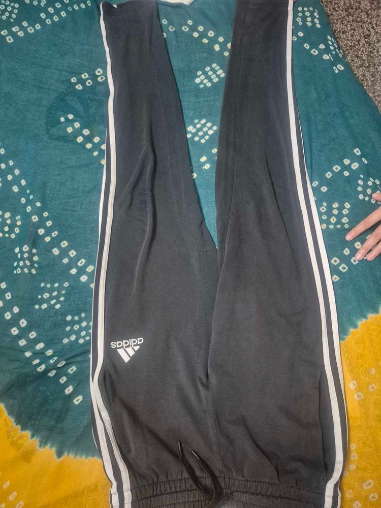 Adidas Track Pants