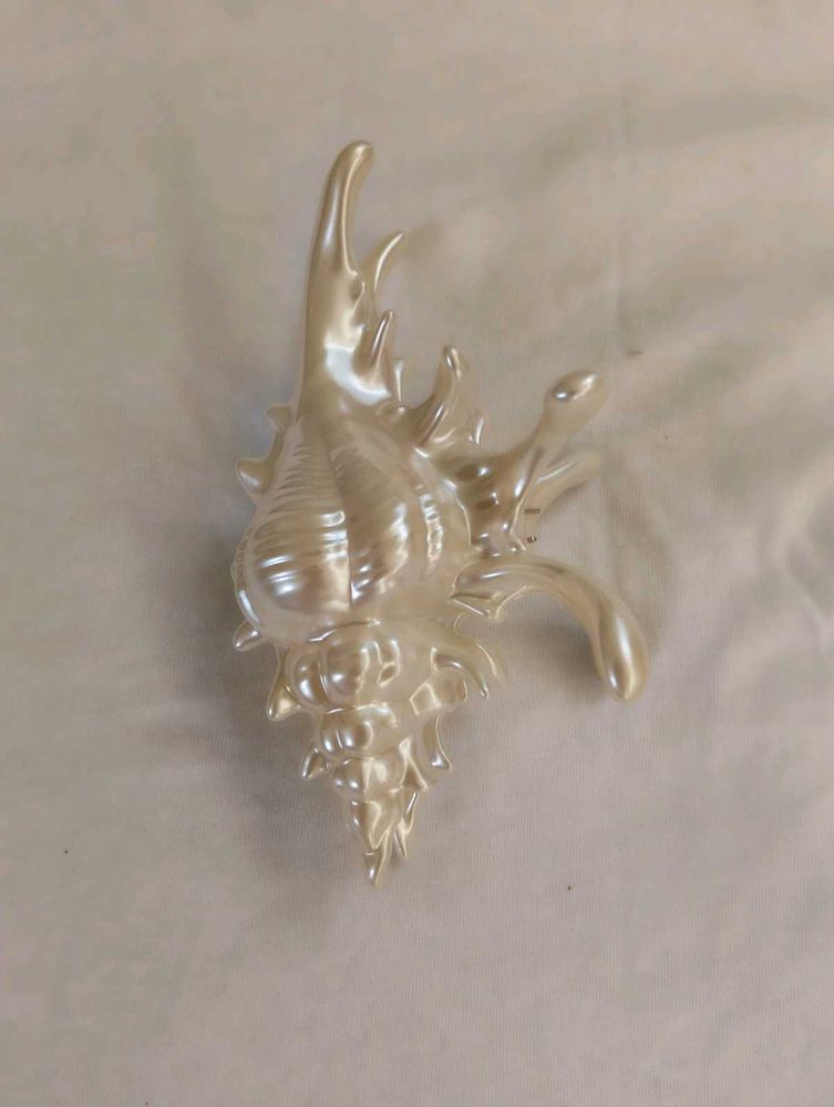 beach aesthetic pinterest sea shell claw clip huge
