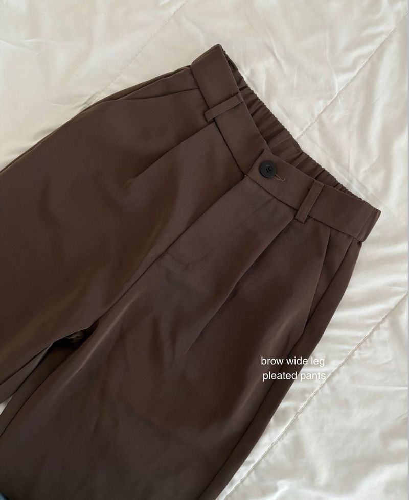 Wide Leg Pleated Pants