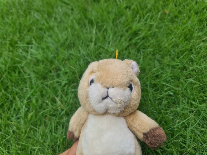 Stuffed Squirrel Stuffed Soft Toy