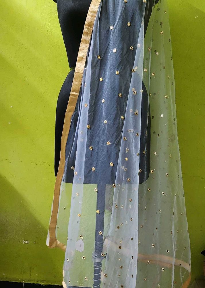 Elegant Powder Blue Net Dupatta