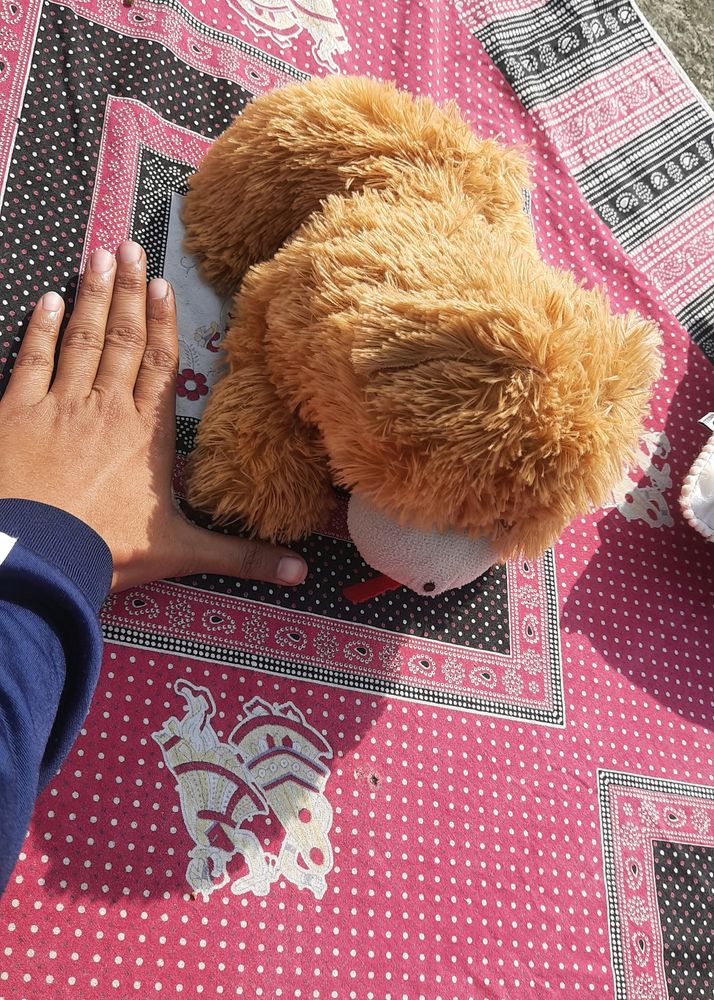 Soft Toy Dog