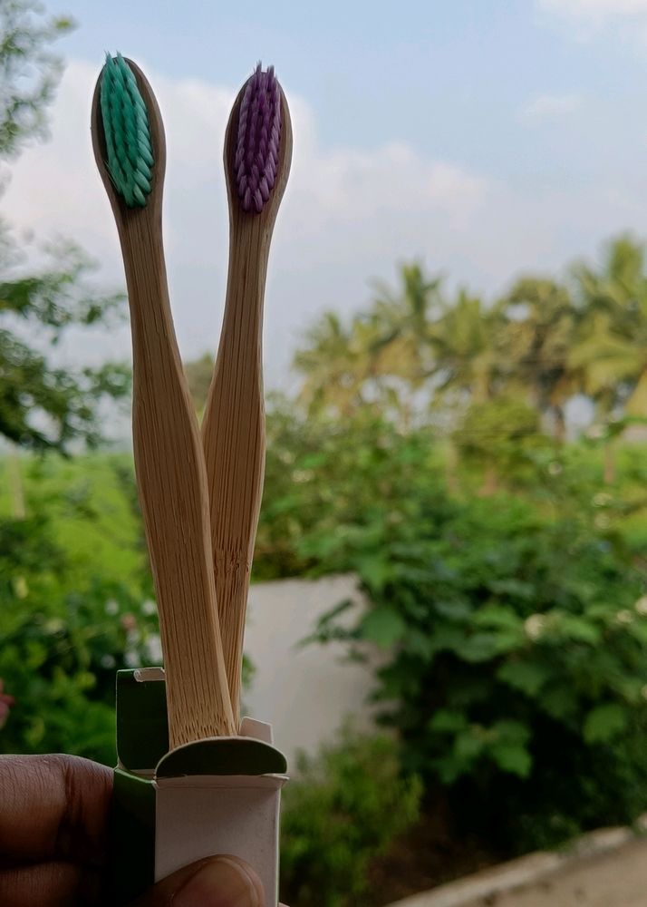 Bamboo Toothbrush (Pack Of 2)