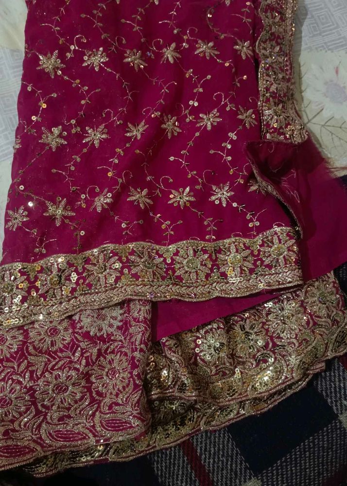 Lehenga Saree